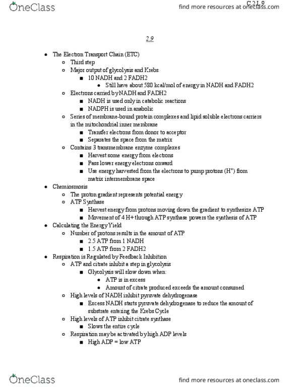 BIOL 1105 Lecture Notes - Lecture 9: Chemiosmosis, Nitrogen Fixation, Ethanol Fermentation thumbnail