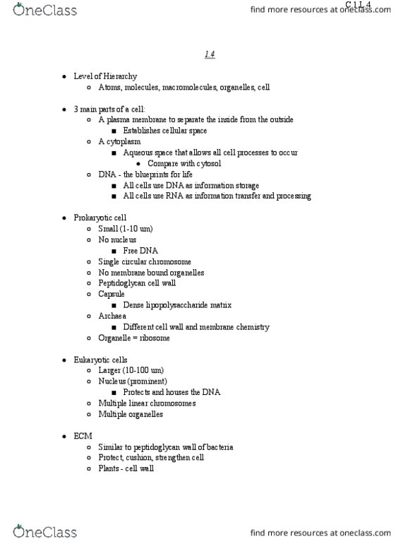 BIOL 1105 Lecture Notes - Lecture 4: Cytosol, Chromosome, Nuclear Pore thumbnail