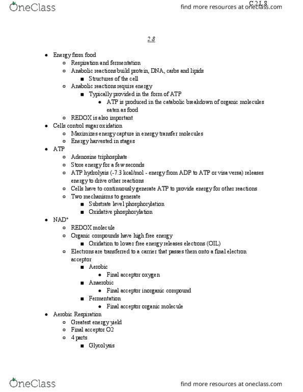 BIOL 1105 Lecture Notes - Lecture 8: Succinic Acid, Electron Transport Chain, Pyruvic Acid thumbnail