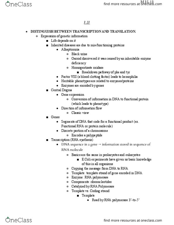 BIOL 1105 Lecture Notes - Lecture 13: Release Factor, Nonsense Mutation, Point Mutation thumbnail