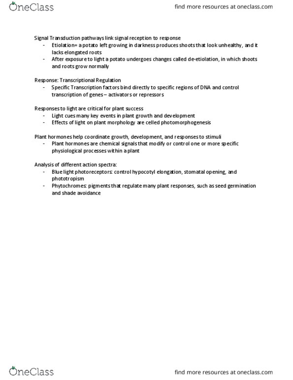 BIO 311D Lecture Notes - Lecture 31: Phototropism, Photomorphogenesis, Plant Hormone thumbnail