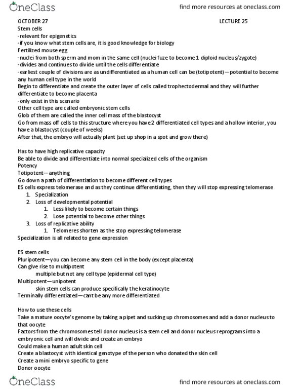 BIOL3190 Lecture Notes - Lecture 25: Embryonic Stem Cell, Blastomere, Telomerase thumbnail