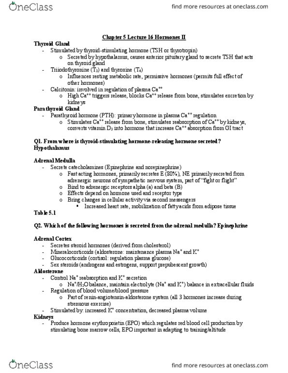 EHS 385 Lecture Notes - Lecture 16: Adrenal Medulla, Thyroid, Tachycardia thumbnail