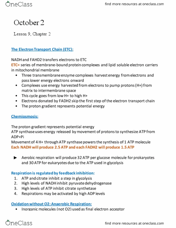 BIOL 1105 Lecture Notes - Lecture 9: Atp Synthase, Pyruvate Dehydrogenase, Electrochemical Gradient thumbnail