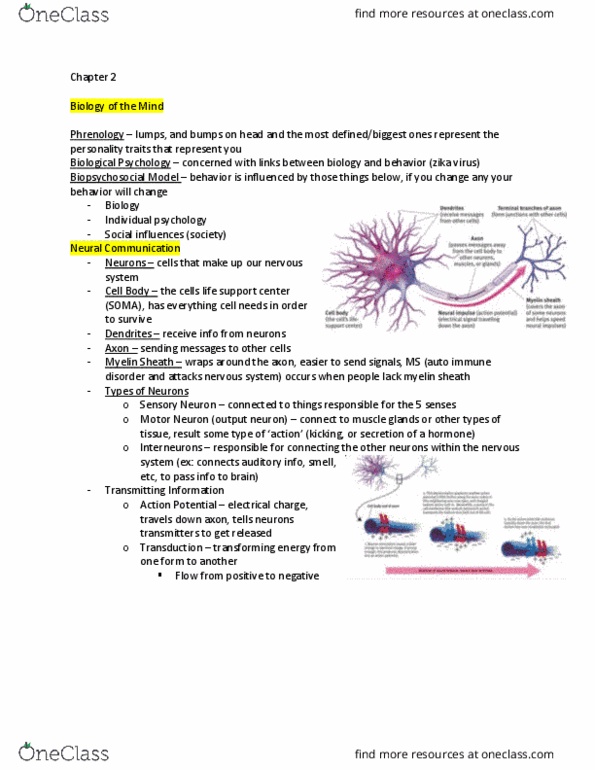PSYC100 Lecture Notes - Lecture 2: Zika Virus, Immune Disorder, Individual Psychology thumbnail