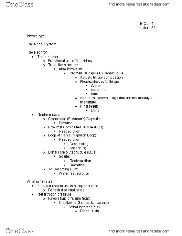 BIOL 141 Lecture Notes - Lecture 82: Distal Convoluted Tubule, Proximal Tubule, Nephron thumbnail