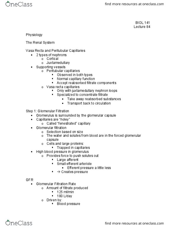 BIOL 141 Lecture Notes - Lecture 84: Straight Arterioles Of Kidney, Peritubular Capillaries, Proximal Tubule thumbnail