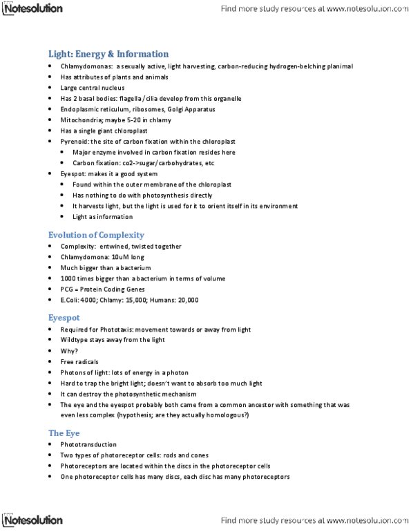 Biology 1002B Lecture Notes - Ribose, Retina, Phosphodiesterase thumbnail