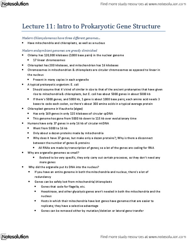 Biology 1002B Lecture Notes - Lecture 11: Ribosomal Rna, Light-Independent Reactions, Genetic Drift thumbnail