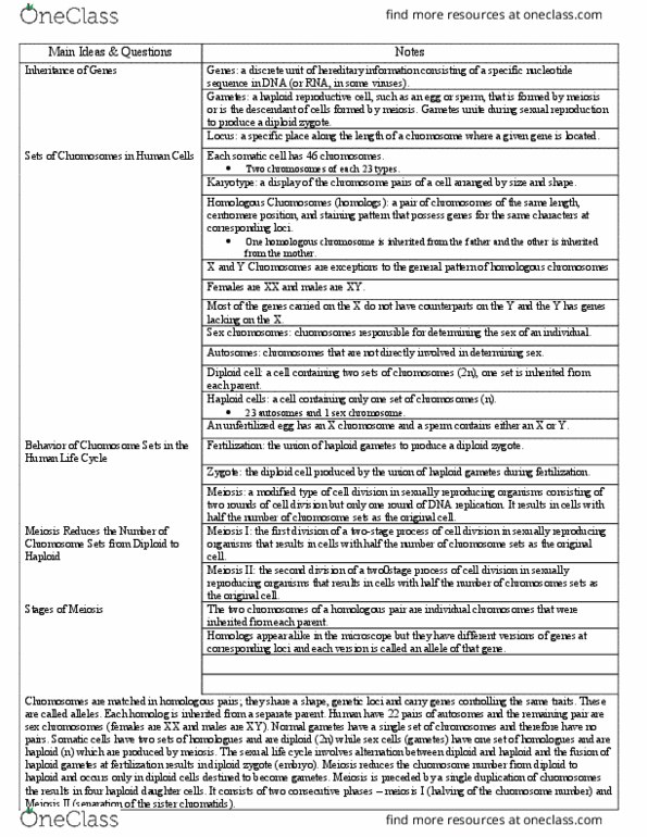 PHI 2010 Chapter Notes - Chapter 13: Homologous Chromosome, Sister Chromatids, Allosome thumbnail