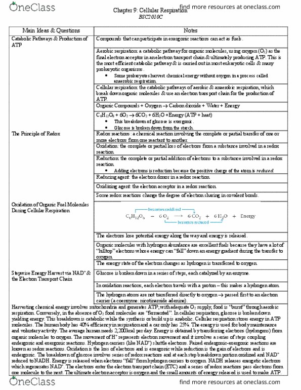 PHI 2010 Chapter Notes - Chapter 9: Cellular Respiration, Anaerobic Respiration, Oxidizing Agent thumbnail