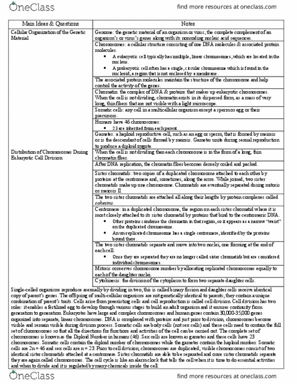 PHI 2010 Chapter Notes - Chapter 12: Sister Chromatids, Dna Replication, Alarm Clock thumbnail