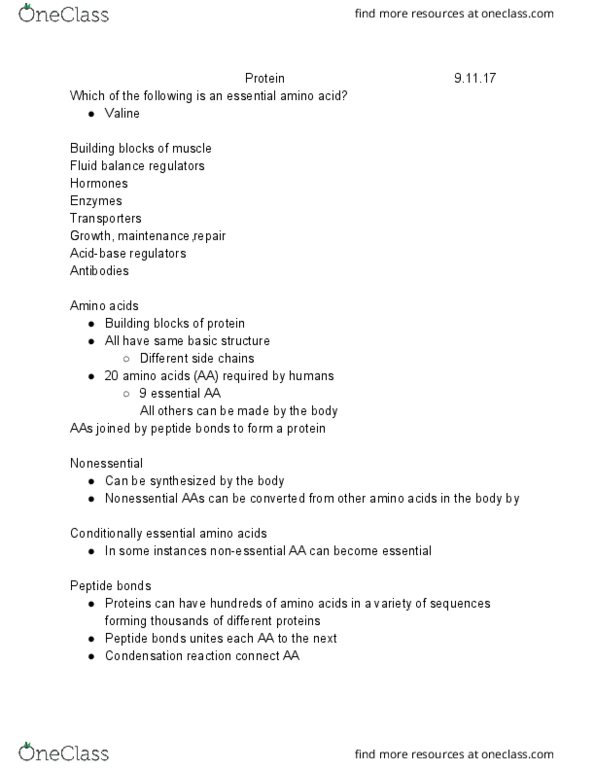 NSC 310 Lecture Notes - Lecture 5: Essential Amino Acid, Condensation Reaction, Valine thumbnail