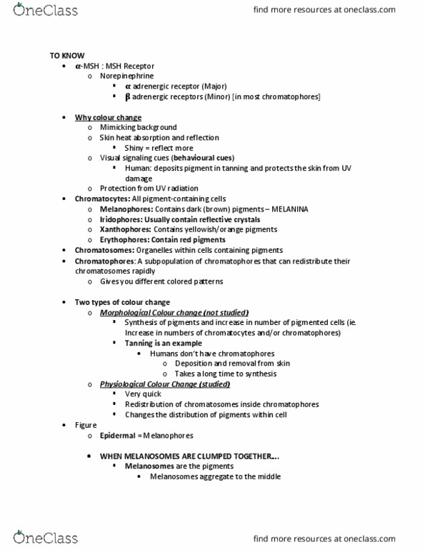 ZOOL344 Lecture Notes - Lecture 3: Adrenergic Receptor, Pars Intermedia, Melanosome thumbnail