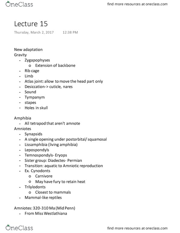 EEMB 136 Lecture Notes - Lecture 15: Antorbital Fenestra, Rib Cage, Squamosal Bone thumbnail