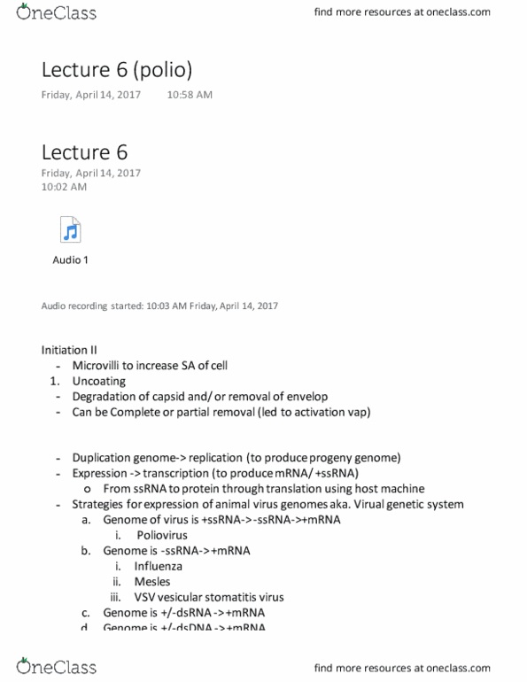 MCDB 134 Lecture Notes - Lecture 6: Vesicular Stomatitis Virus, Reoviridae, Animal Virus thumbnail