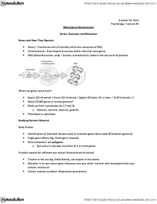 PSYC 2510 Lecture Notes - David Buss, Evolutionary Psychology, Twin thumbnail