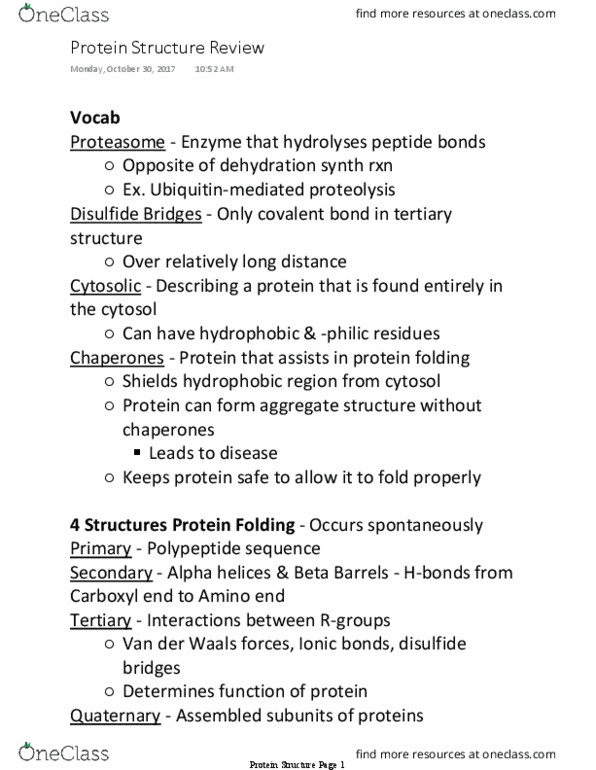 BIOLOGY 151 Lecture Notes - Lecture 16: Disulfide, Protein Folding, Covalent Bond thumbnail