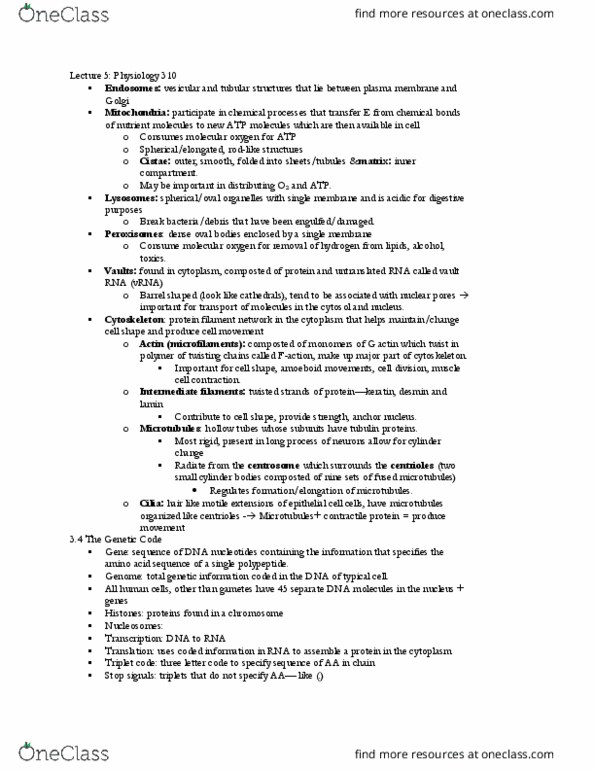 PHSL 310 Lecture Notes - Lecture 5: Protein Filament, Stop Codon, Desmin thumbnail