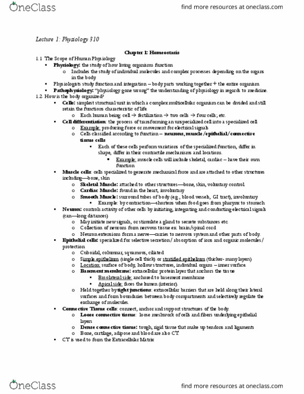 PHSL 310 Lecture Notes - Lecture 1: Loose Connective Tissue, Basement Membrane, Tight Junction thumbnail