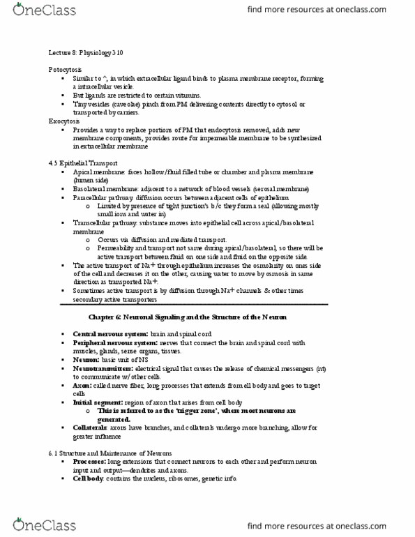 PHSL 310 Lecture Notes - Lecture 8: Active Transport, Cell Membrane, Peripheral Nervous System thumbnail