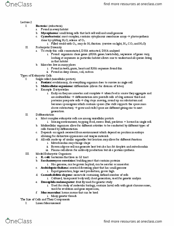 PHSL 310 Lecture Notes - Lecture 9: Arabidopsis Thaliana, Saccharomyces Cerevisiae, House Mouse thumbnail