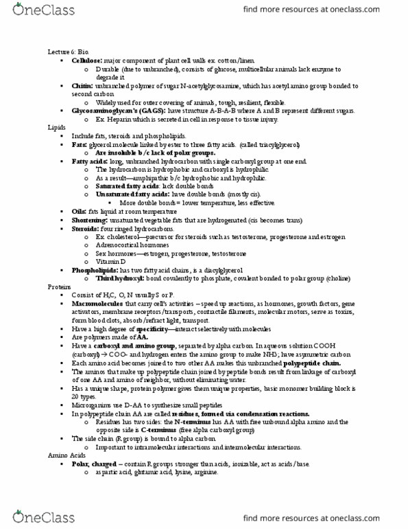 PHSL 310 Lecture Notes - Lecture 7: Alpha And Beta Carbon, Asymmetric Carbon, Amine thumbnail