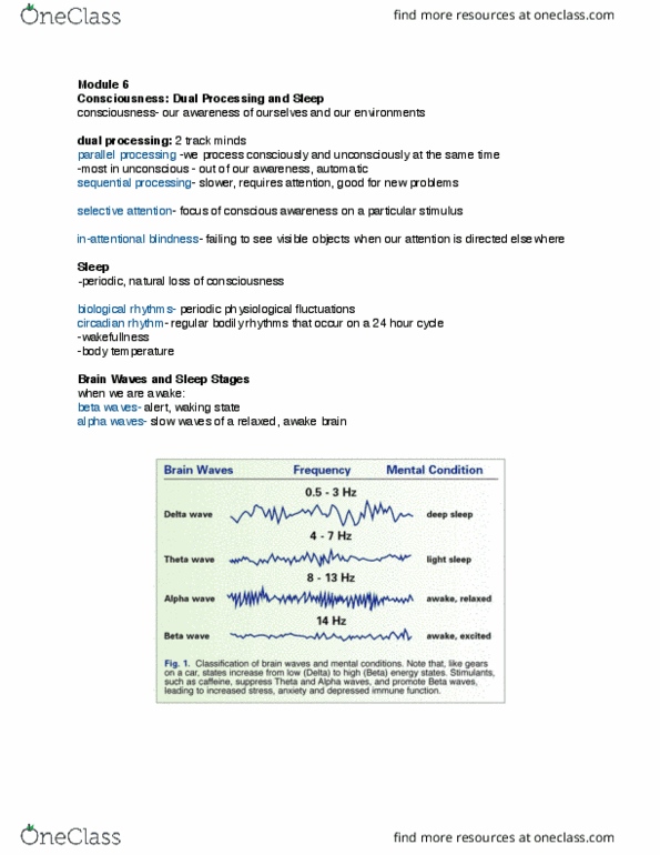 3750:100 Lecture Notes - Lecture 9: Circadian Rhythm, Insomnia, Non-Rapid Eye Movement Sleep thumbnail