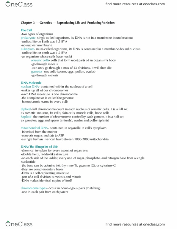 3230:150 Lecture Notes - Lecture 2: Nuclear Dna, Nuclear Membrane, Dna Replication thumbnail