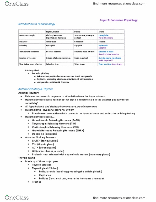 Physiology 2130 Lecture Notes - Lecture 3: Anterior Pituitary, Thyroid, Thyroid Cartilage thumbnail