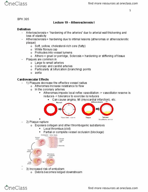 BPK 305 Lecture Notes - Lecture 19: Coronary Circulation, Fibrous Cap, Gruel thumbnail