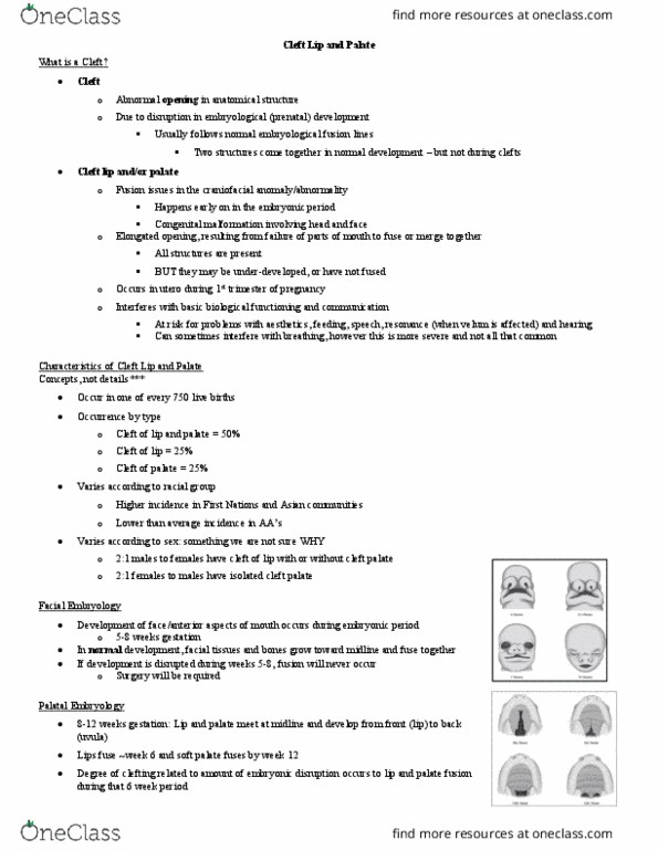 Communication Sciences and Disorders 4411A/B Lecture Notes - Lecture 8: Cleft Lip And Cleft Palate, Soft Palate, Congenital Disorder thumbnail