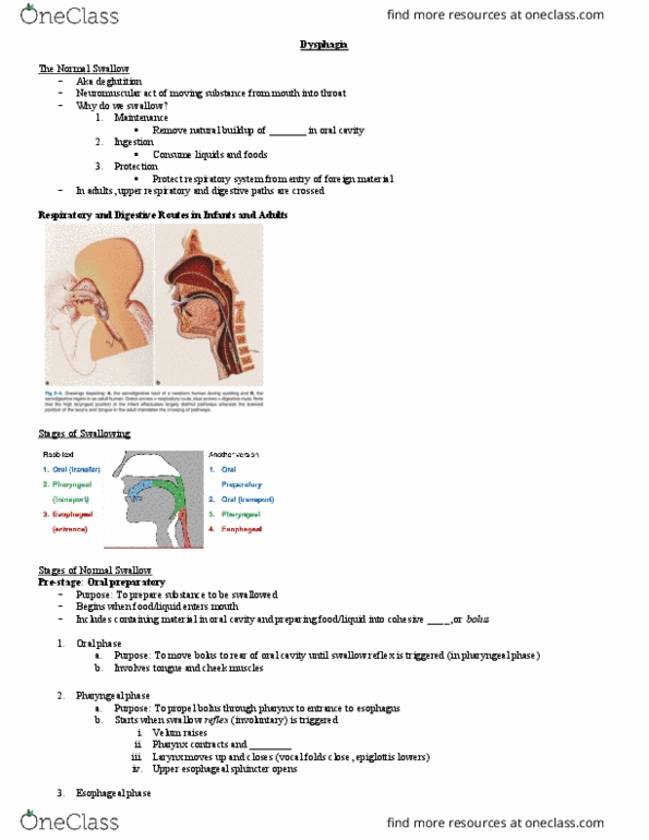 Communication Sciences and Disorders 4411A/B Lecture Notes - Lecture 12: Esophagus, Aspiration Pneumonia, Dysphagia thumbnail