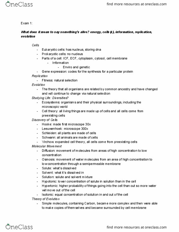 EEB-101 Brain Exam