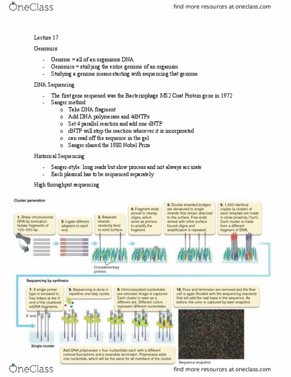 document preview image