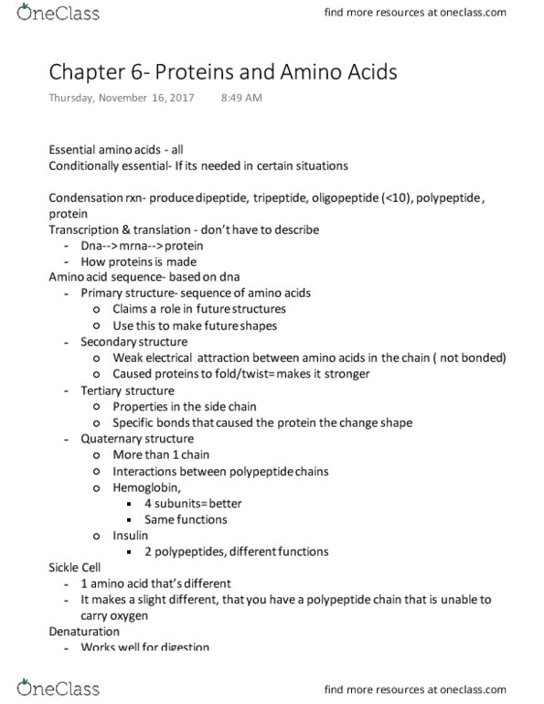 Foods and Nutrition 1030E Lecture 6: Chapter 6- Proteins and Amino Acids thumbnail