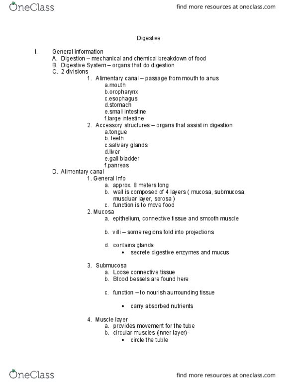 ANAT-A 215 Lecture Notes - Lecture 22: Gastrointestinal Tract, Loose Connective Tissue, Serous Fluid thumbnail