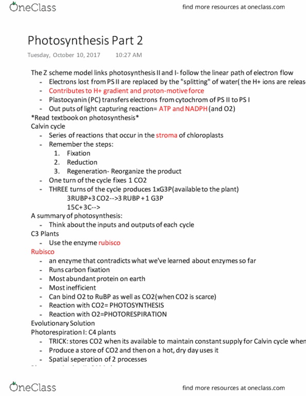 BISC 101 Lecture Notes - Lecture 15: Light-Independent Reactions, Photorespiration, Electrochemical Gradient thumbnail