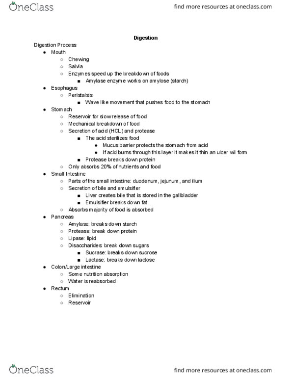 NUTR SCI 132 Lecture Notes - Lecture 5: Amylose, Peristalsis, Amylase thumbnail