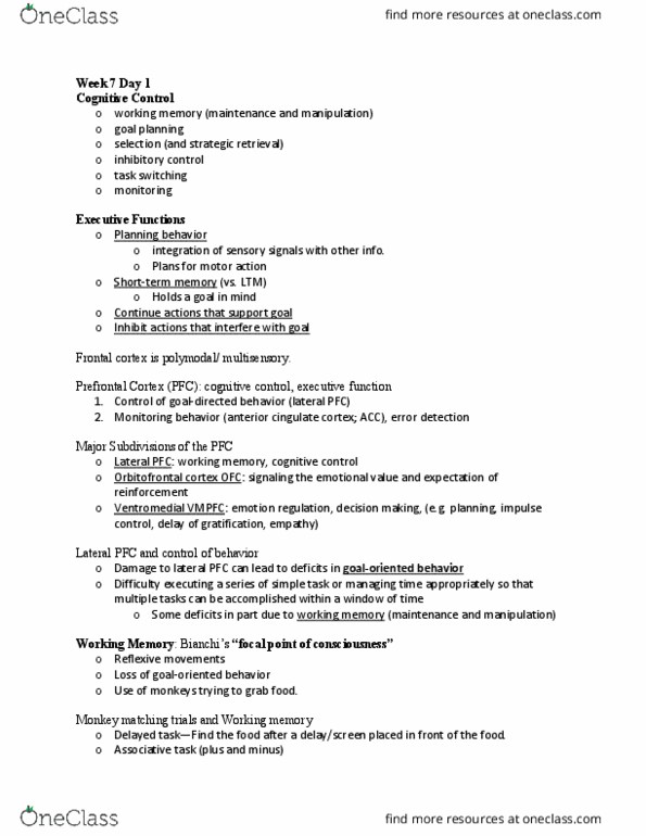 PSY 449 Lecture Notes - Lecture 12: Orbitofrontal Cortex, Frontal Lobe, Executive Functions thumbnail