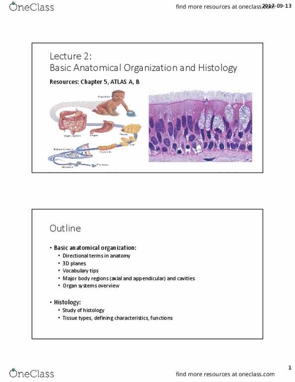 BIOL 1050H Lecture Notes - Lecture 2: Histology, Carpal Bones, Meninges thumbnail