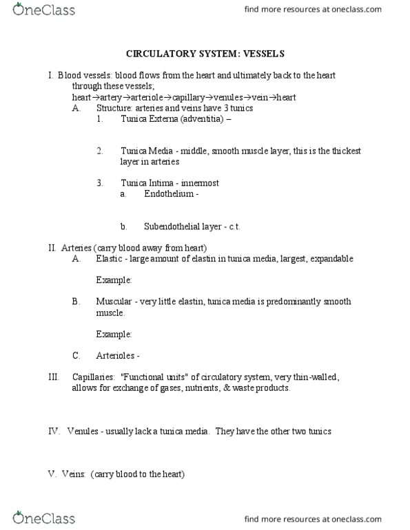 ANAT-A 215 Lecture Notes - Lecture 3: Tunica Media, Capillary, Elastin thumbnail