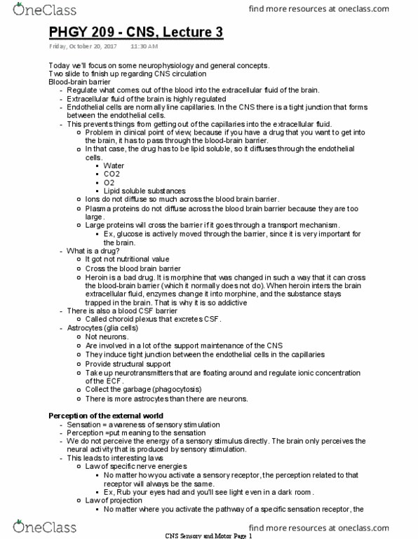 PHGY 209 Lecture Notes - Lecture 3: Morphine, Astrocyte, Endothelium thumbnail