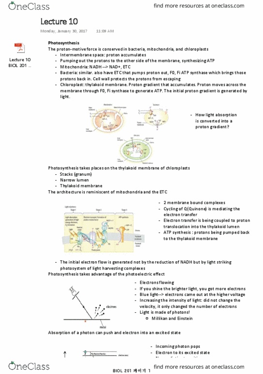 BIOL 201 Lecture Notes - Lecture 10: Quinone, Electric Field, Glycogen Phosphorylase thumbnail