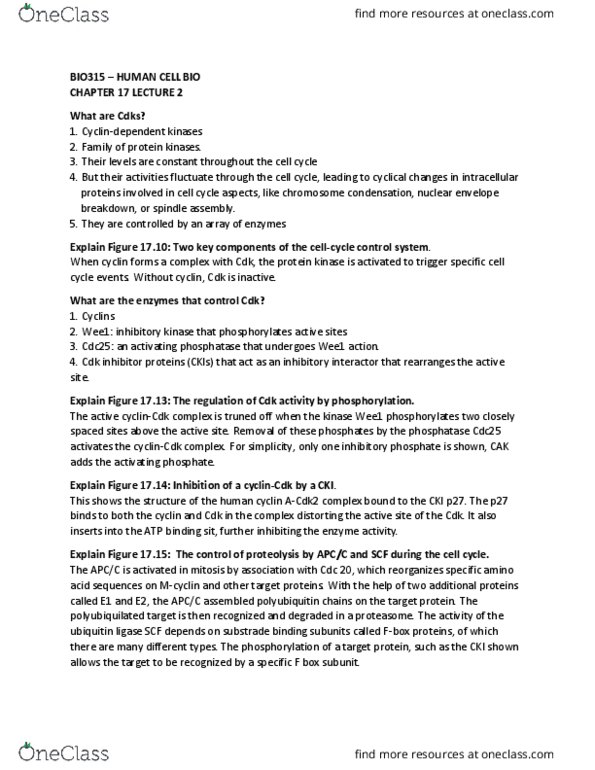 BIO315H5 Lecture Notes - Lecture 19: Blastomere, Proteasome, Protein Kinase thumbnail