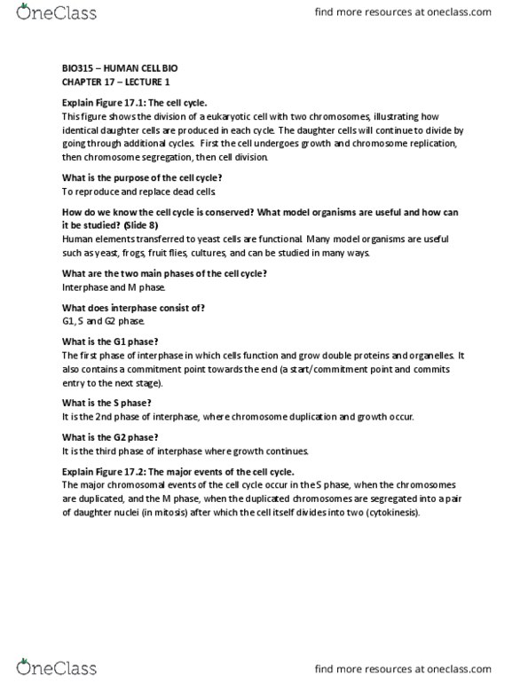 BIO315H5 Lecture Notes - Lecture 18: Metaphase, Prometaphase, Prophase thumbnail