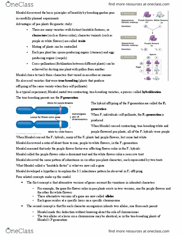 BIOL 101 Lecture Notes - Lecture 8: Quantitative Trait Locus, Epistasis, Mendelian Inheritance thumbnail