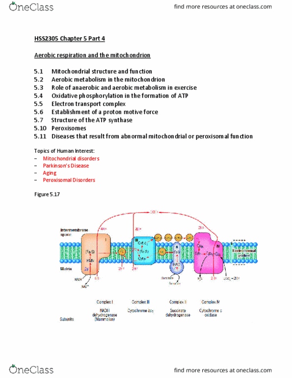 HSS 2305 Lecture Notes - Lecture 20: Electronegativity, Lipid Bilayer, Atp Synthase thumbnail