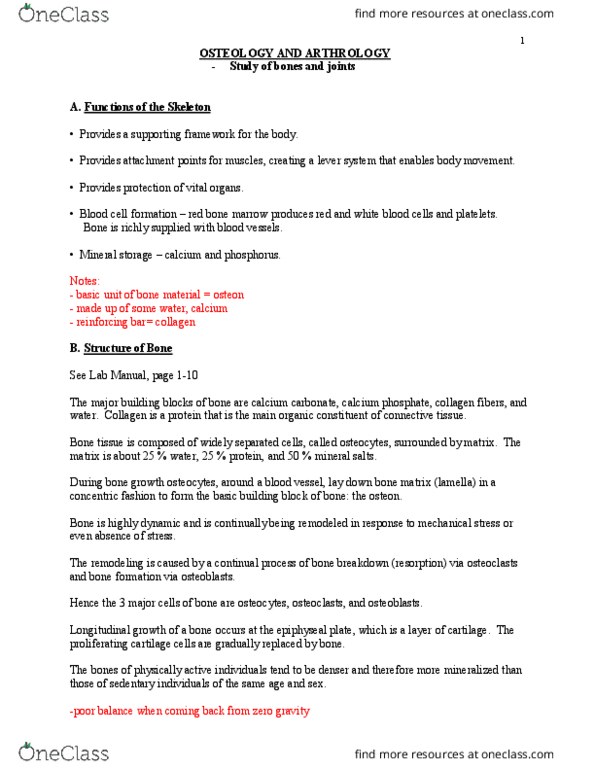 BPK 142 Lecture Notes - Lecture 1: Rebar, Blood Vessel, Sagittal Plane thumbnail