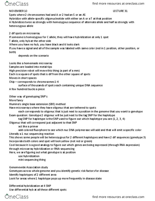 BIOL3190 Lecture Notes - Lecture 31: Zygosity, Haplotype, Statistical Power thumbnail